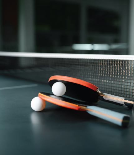 TABLE TENNIS